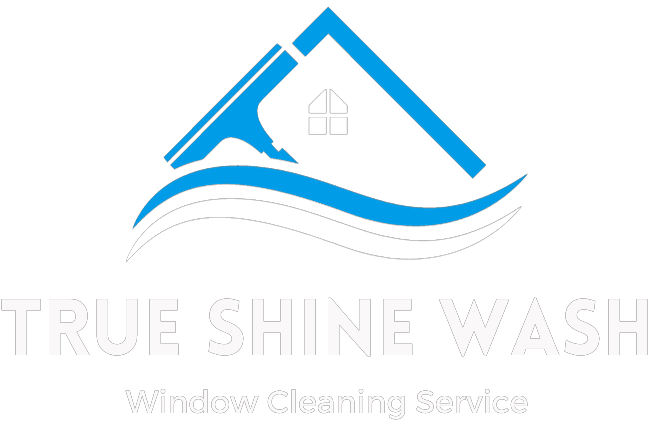 True Shine Wash Logo