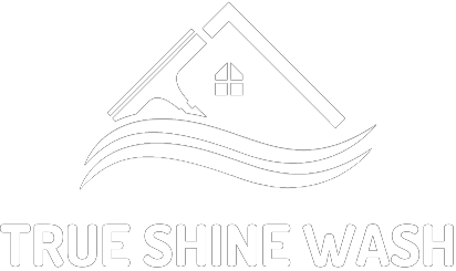 True Shine Wash Logo